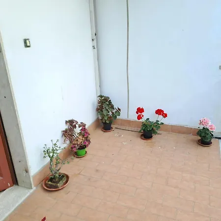 Domus Pina Guest house