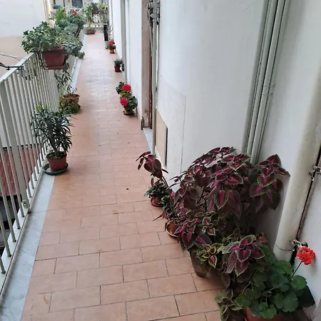 Domus Pina