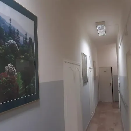 Domus Pina Guest house *