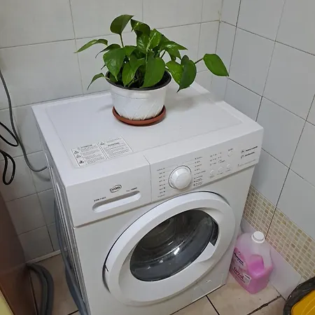 Guest house Domus Pina *