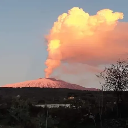 Domus Pina Guest house *