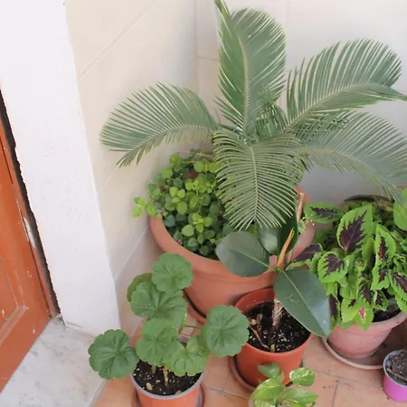 Domus Pina Guest house Catania