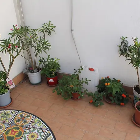 Guest house Domus Pina