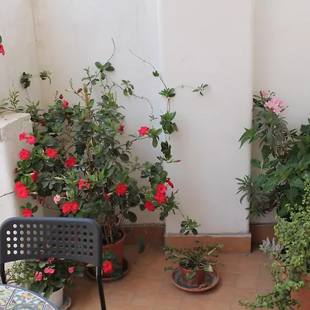 Domus Pina Guest house *