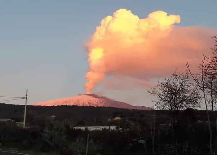 Domus Pina בית הארחה *