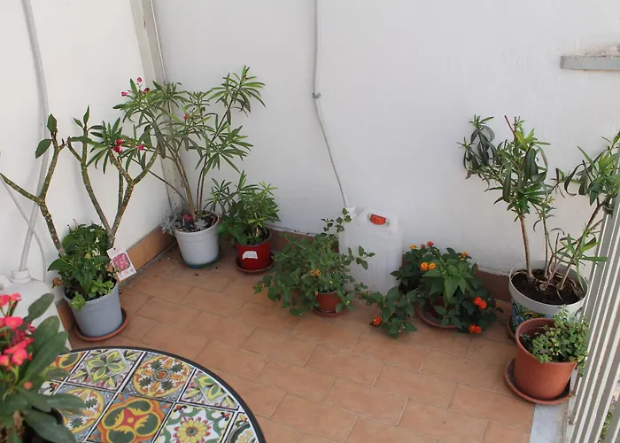 בית הארחה Domus Pina